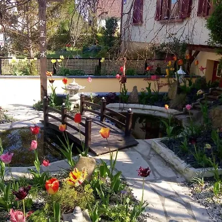 Appartement Avec Jardin Privatif Colmar
