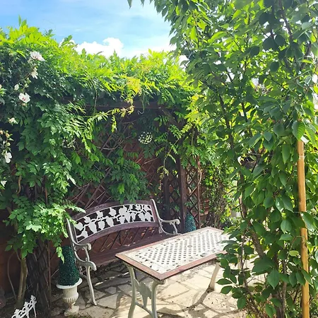 Appartement Avec Jardin Privatif Colmar