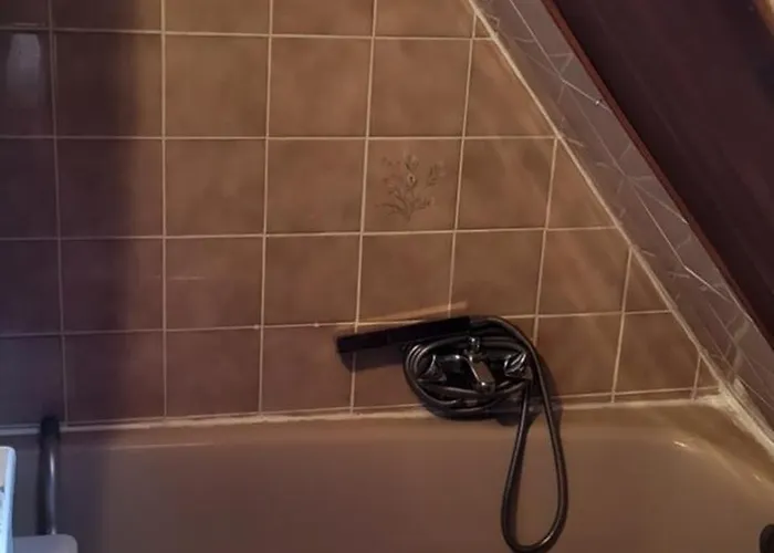 Avec Jardin Privatif Кольмар